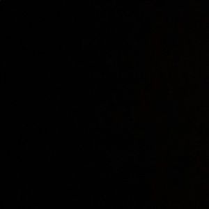 Meet your Posher, Yoko